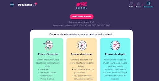 wildfortune kyc