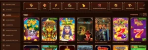 wildrobin casino games